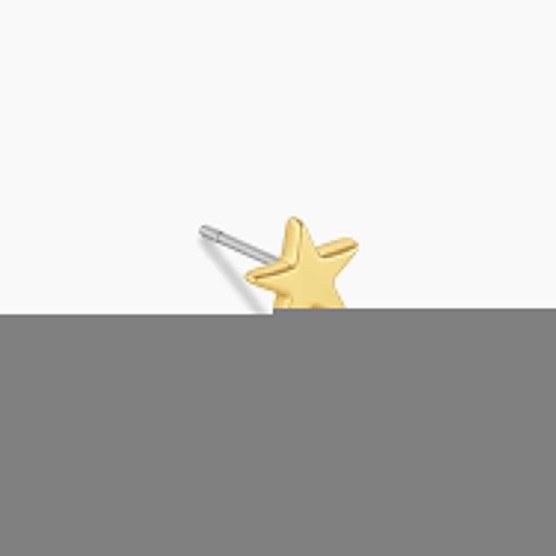 Star Charm Stud