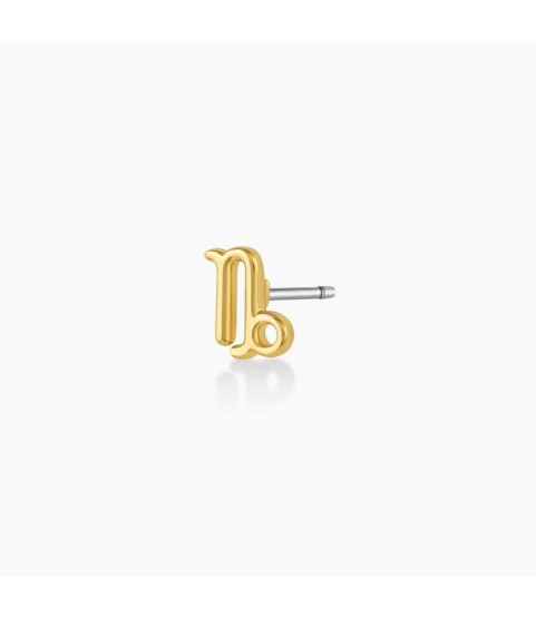 Zodiac Charm Stud - Capricorn