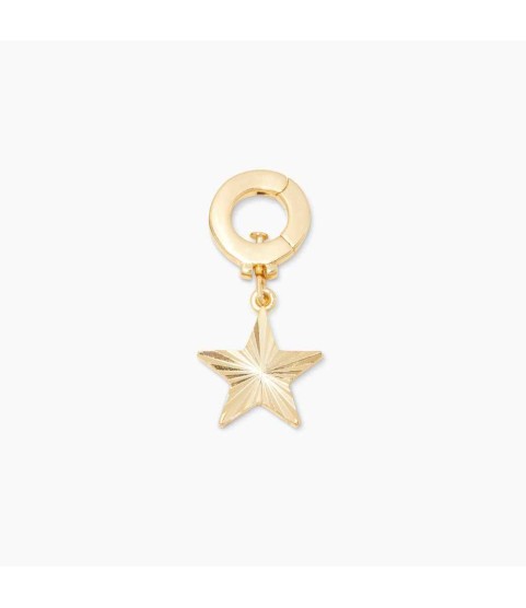 Star Parker Charm