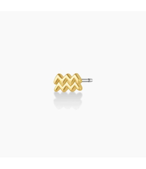 Zodiac Charm Stud - Aquarius